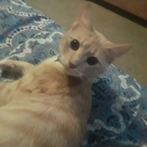 Meet your Posher, Glen